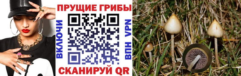 Псилоцибиновые грибы Magic Shrooms Хадыженск